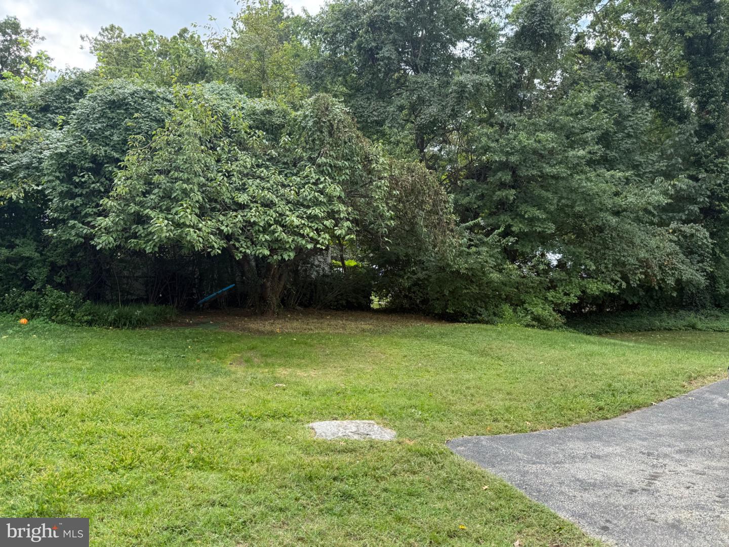 512 Haverford Ave Property Photo 32