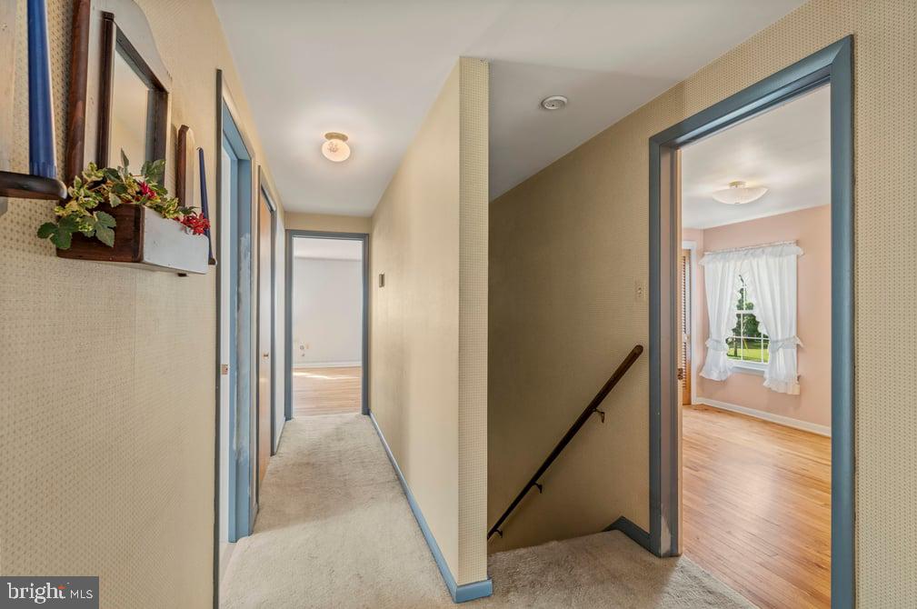 619 Morwood Rd # Property Photo 25