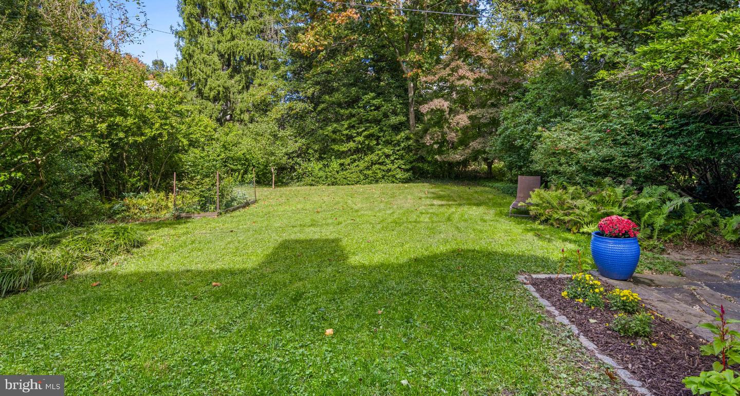 419 Lodges Ln Property Photo 50