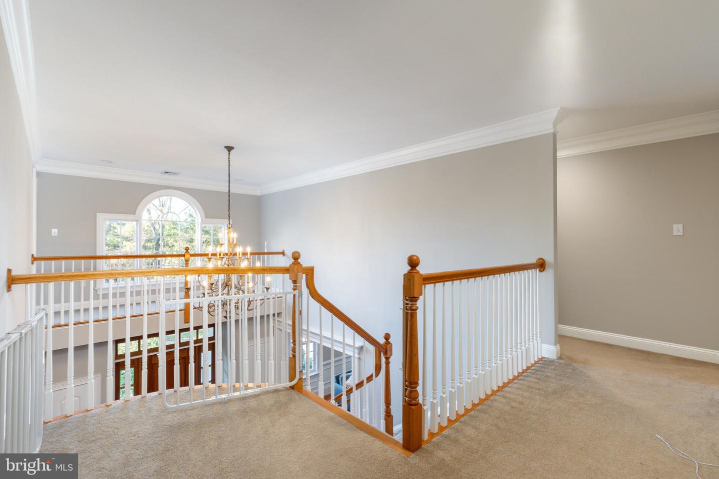 1210 Page Ter Property Photo 24