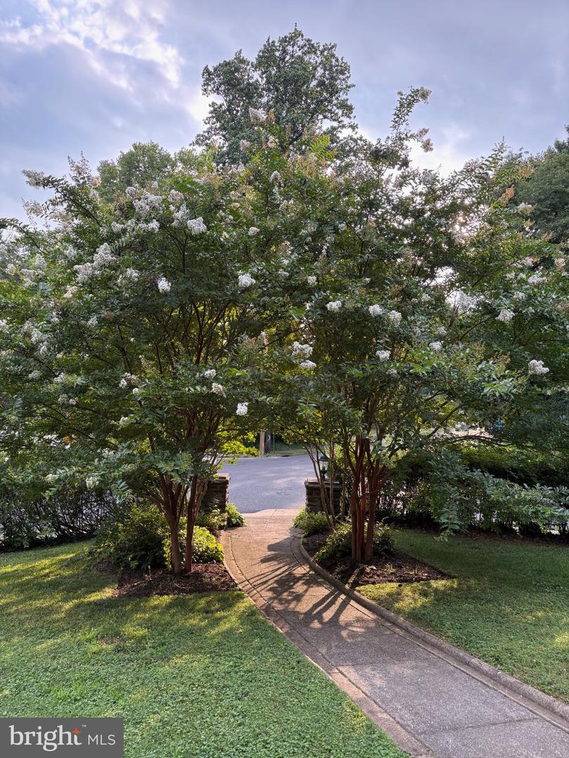 1011 Valley Rd Property Photo 29