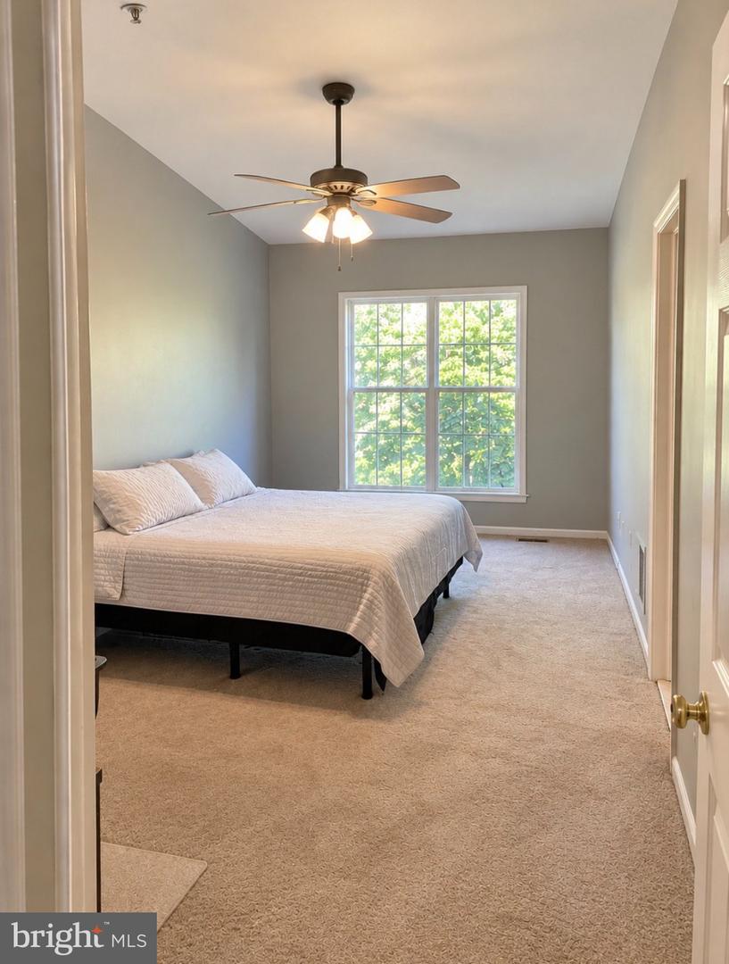 43 Essex Ct Property Photo 15