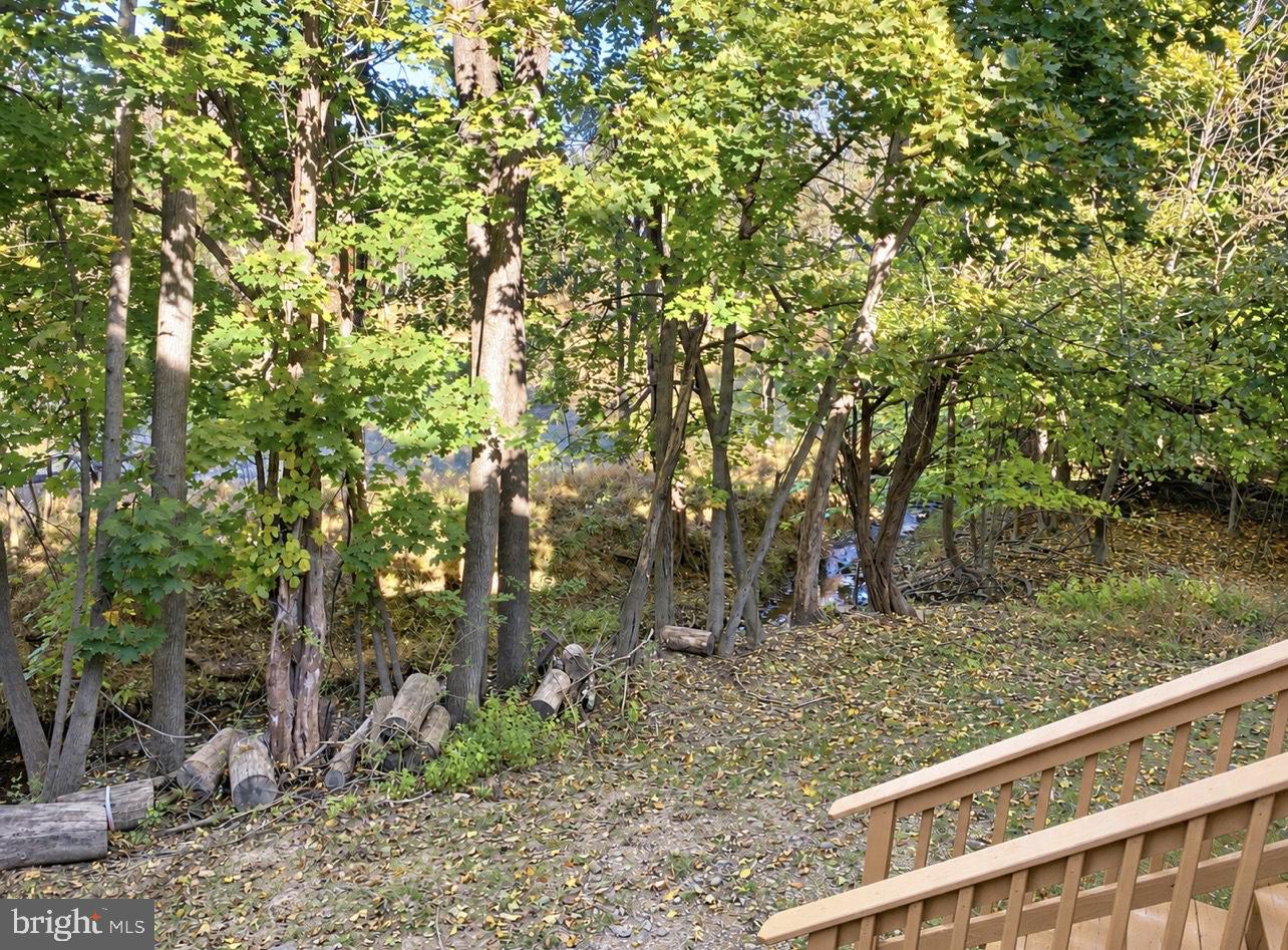 43 Essex Ct Property Photo 40