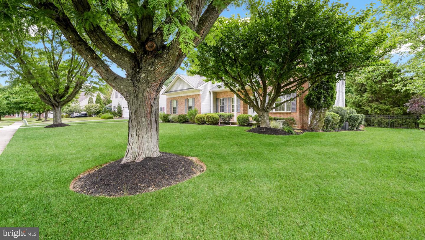 144 Tudor Dr # Property Photo 3