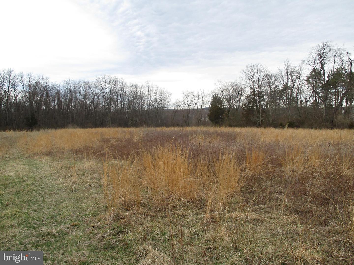 142 W Ridge Pike Property Photo 9