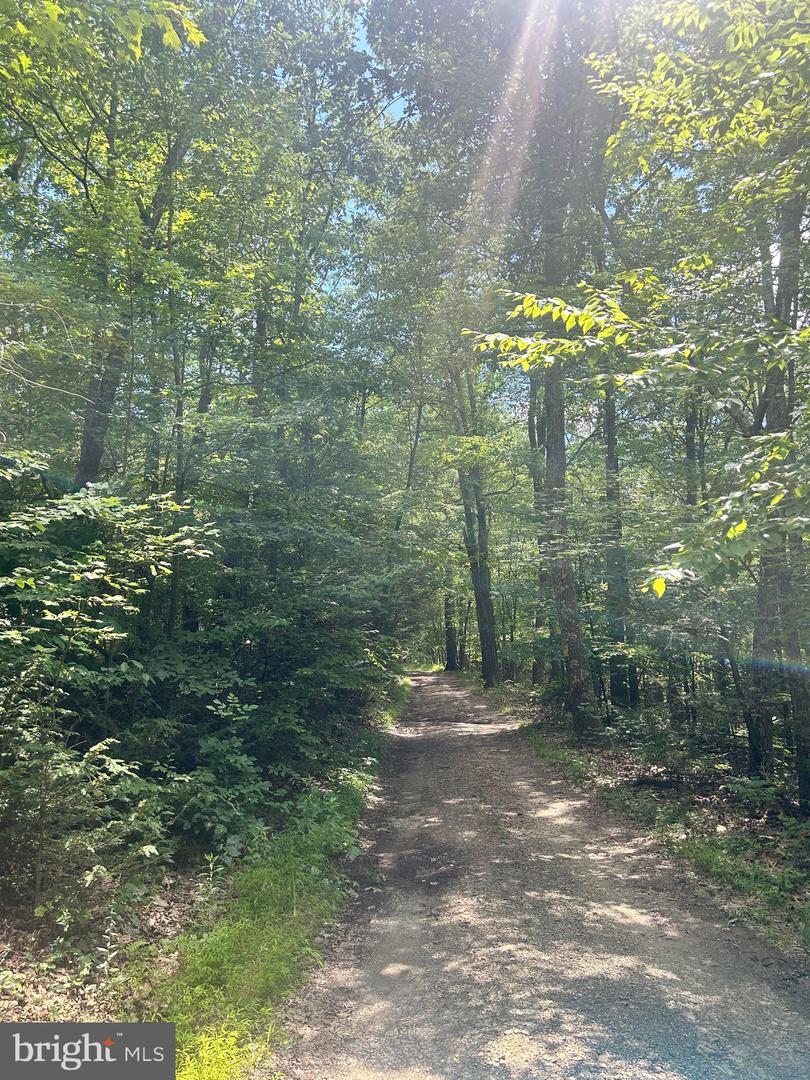 0 Wagner Gap Road Property Photo 1