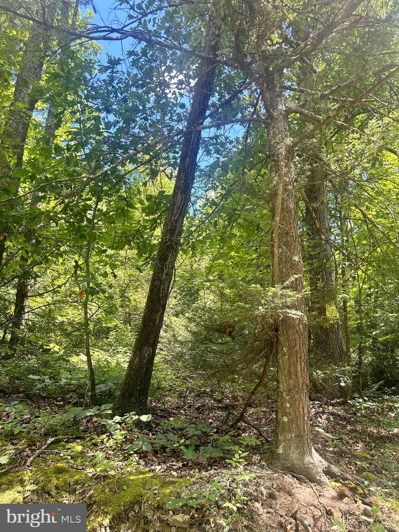 0 Wagner Gap Road Property Photo 2