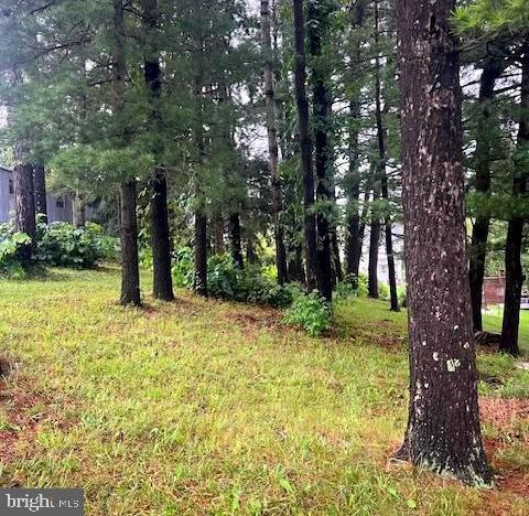 Lot 55 5th Ave Property Photo