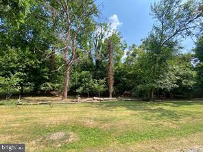 Lot 1 Woods Lane Property Photo 4