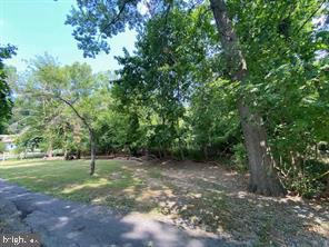 Lot 1 Woods Lane Property Photo 6