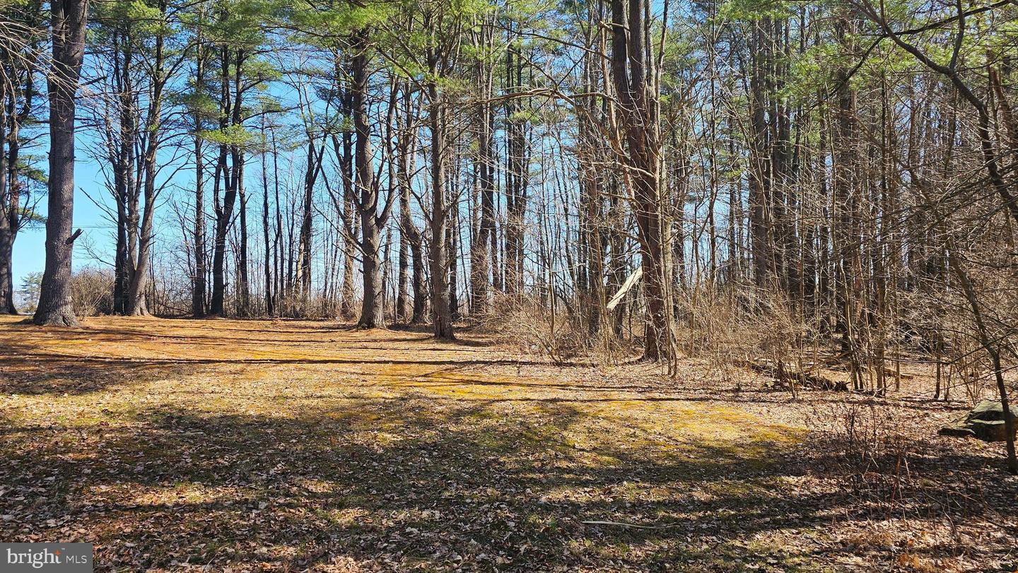 Old Us Highway 322 #lot 5 Property Photo 1