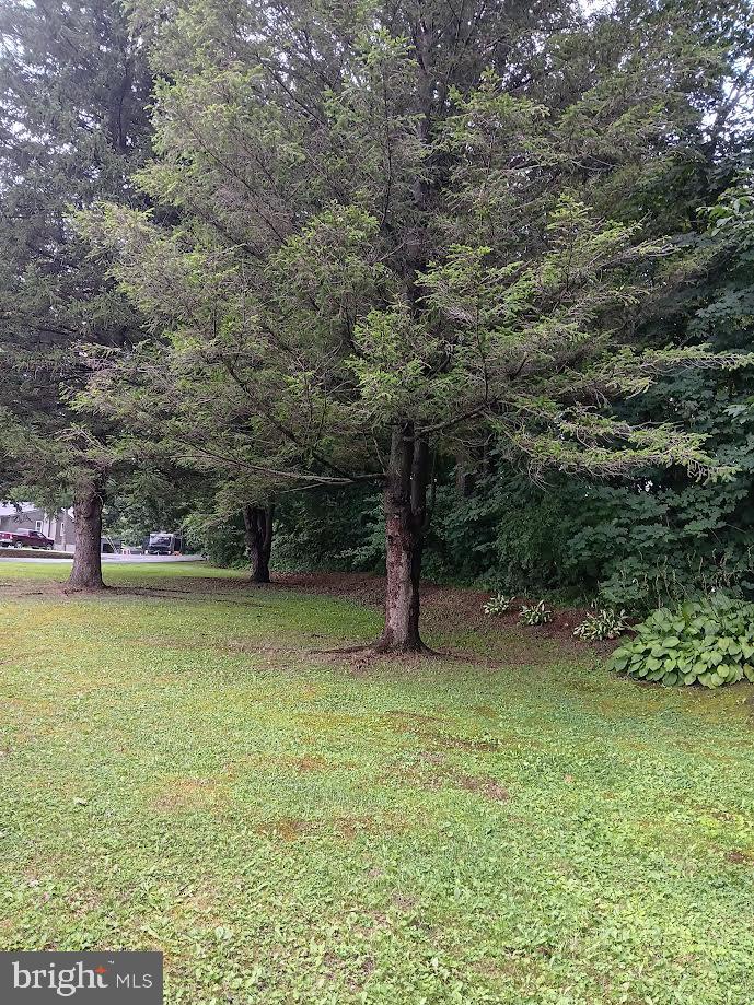 78 Prince Street Property Photo 19