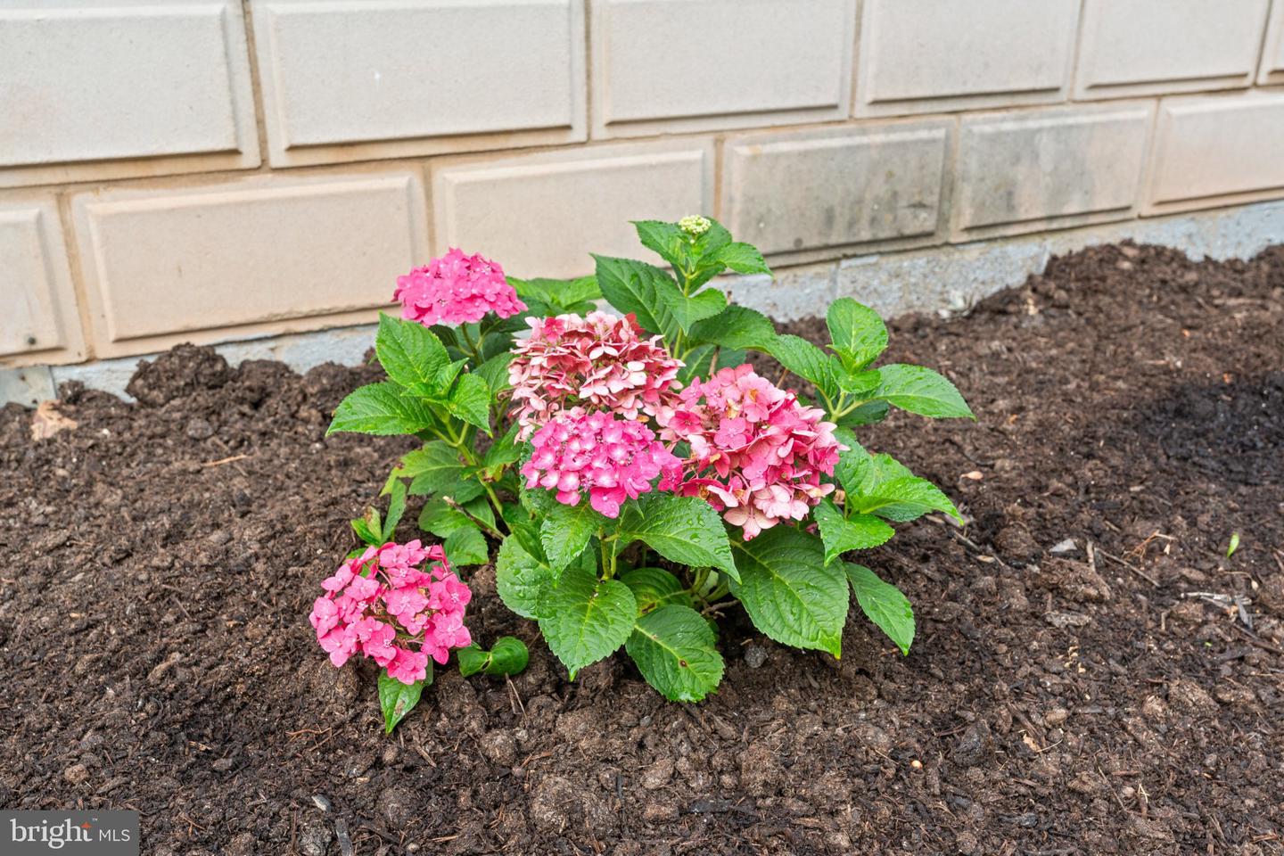 71 Lewland Property Photo 10