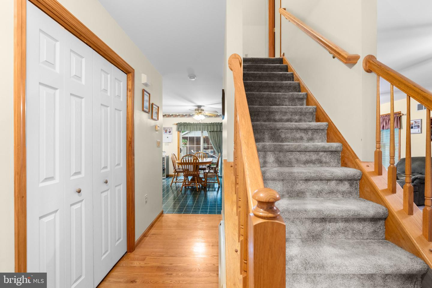 59 Delving Property Photo 8