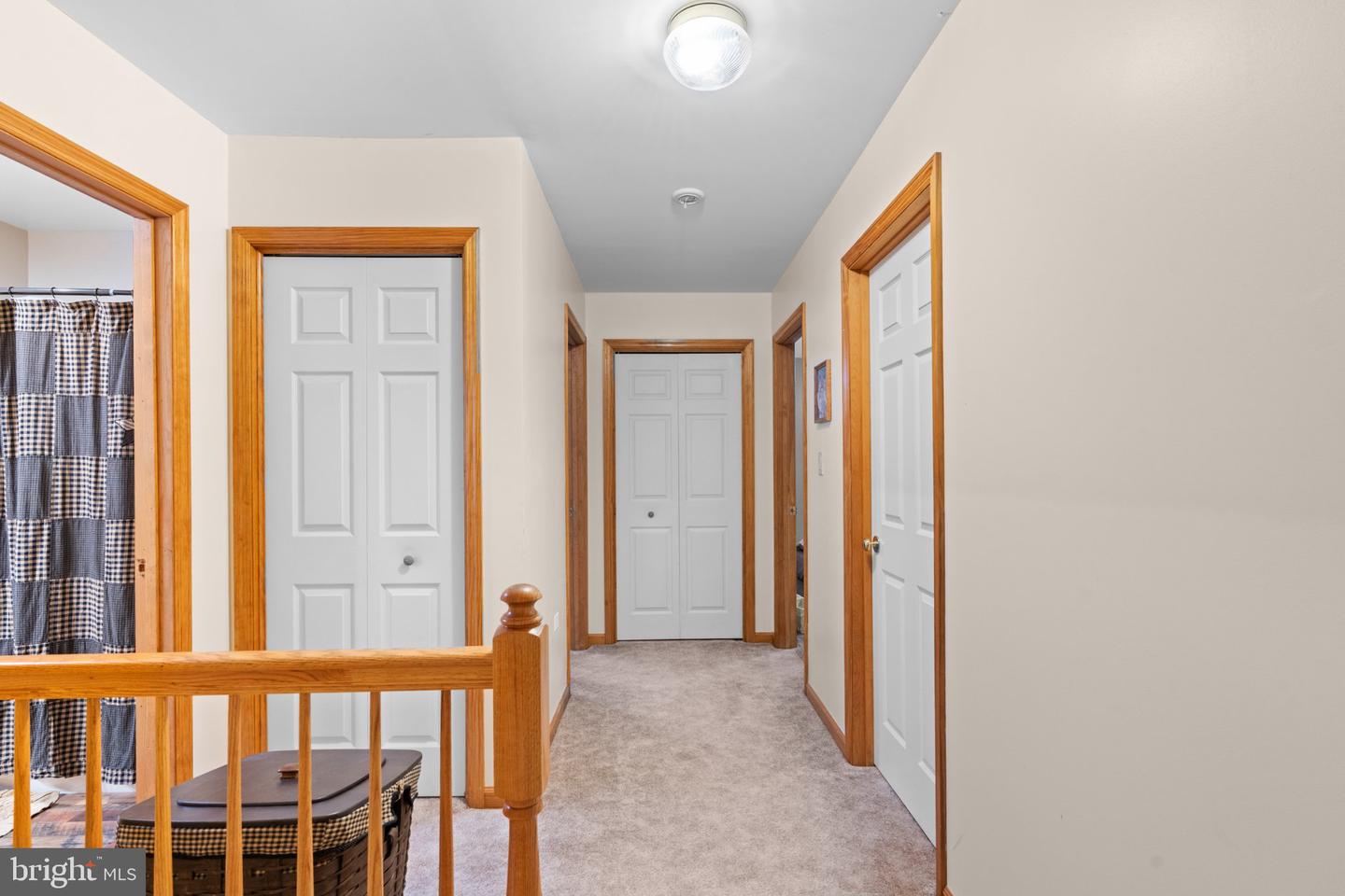 59 Delving Property Photo 21
