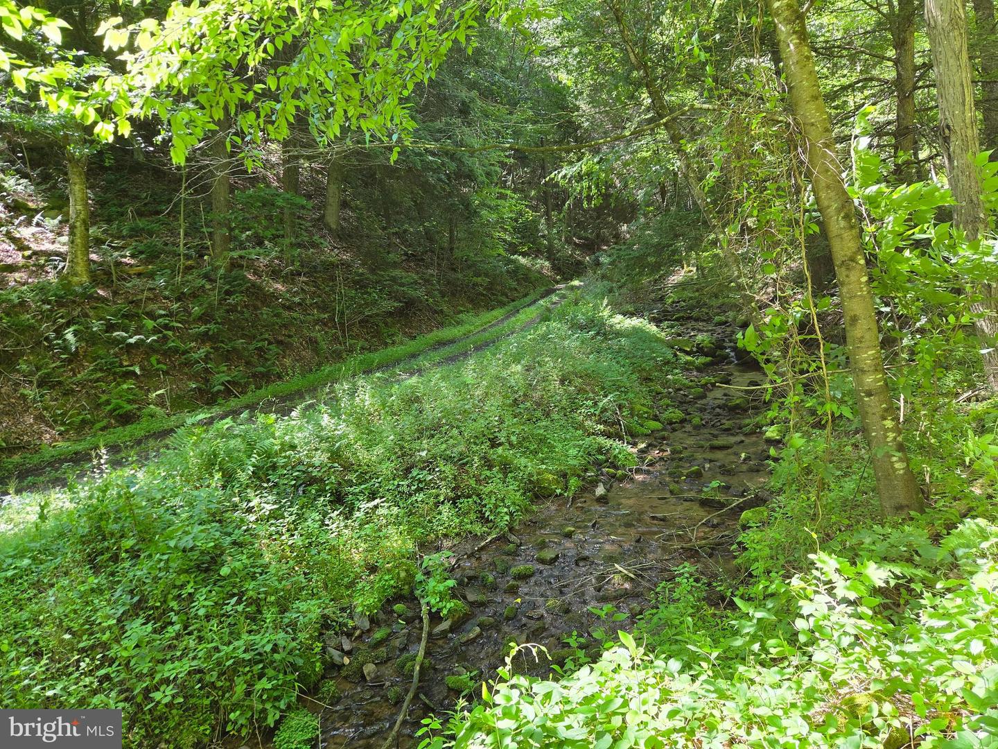 00 Carlisle Gap Rd Property Photo 1
