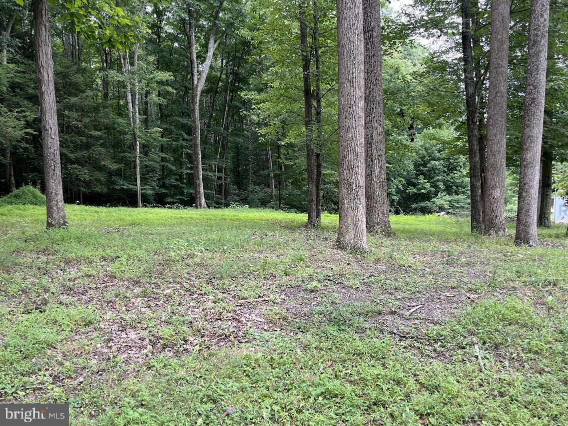 230 Summit Road Property Photo 50