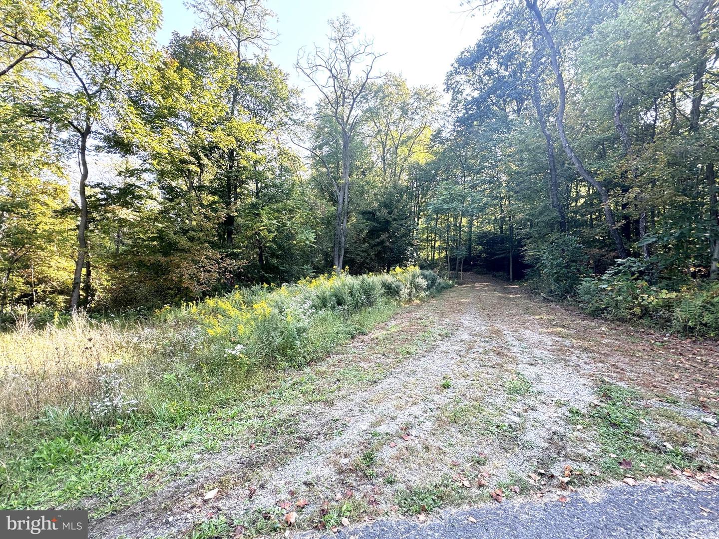 4380 Us Hwy 522 N Property Photo 1