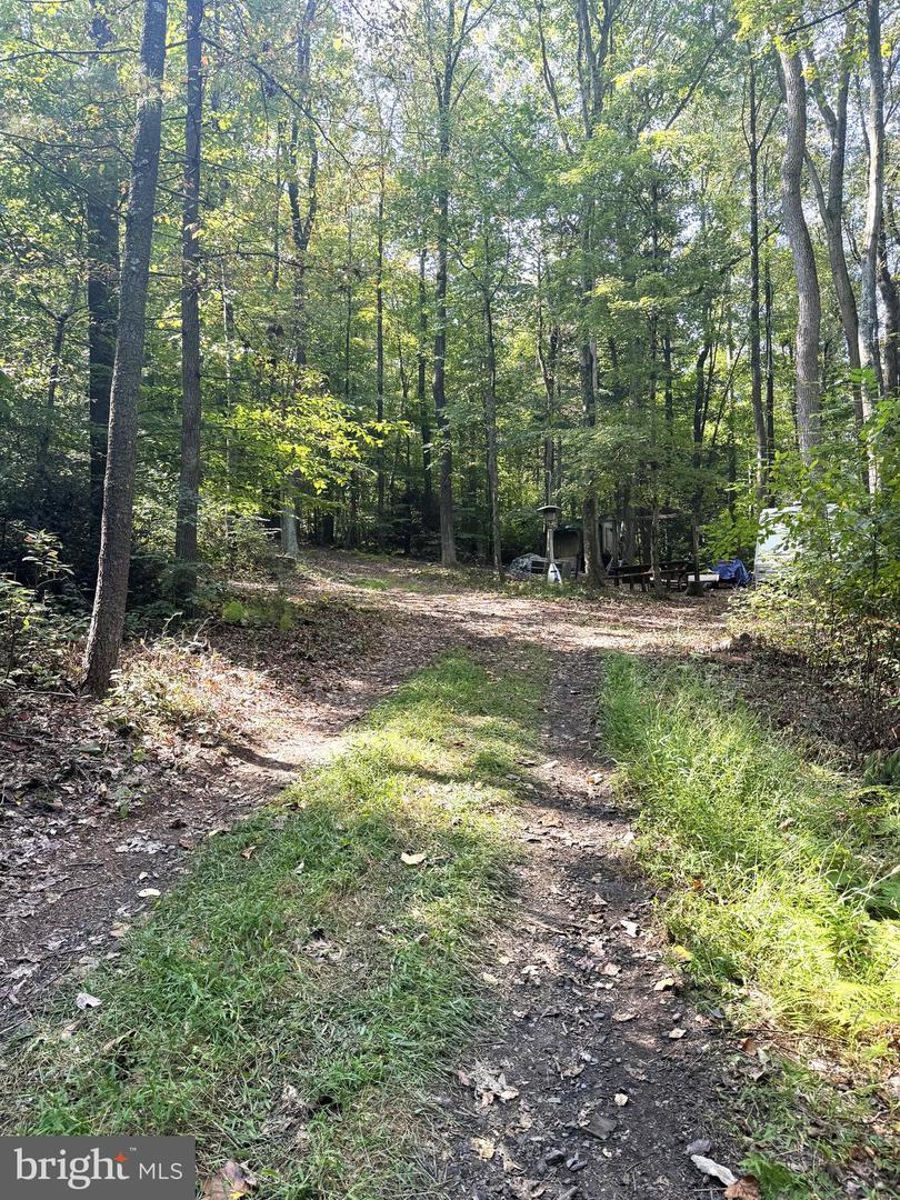 4380 Us Hwy 522 N Property Photo 2