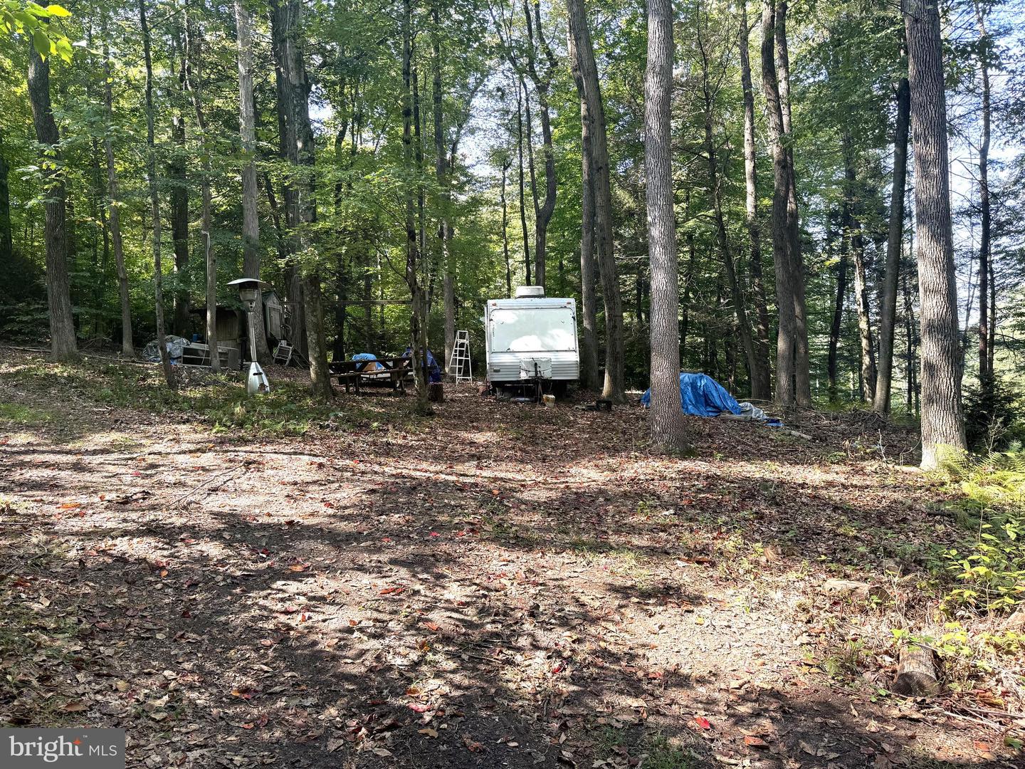 4380 Us Hwy 522 N Property Photo 3