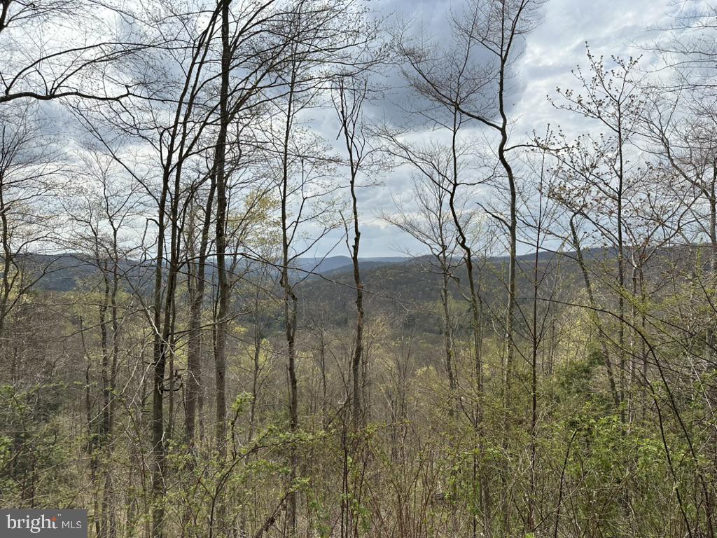 111 Rob Roy Rd Property Photo 37