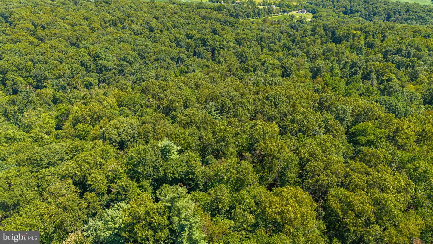 Hartman Rd Property Photo 6