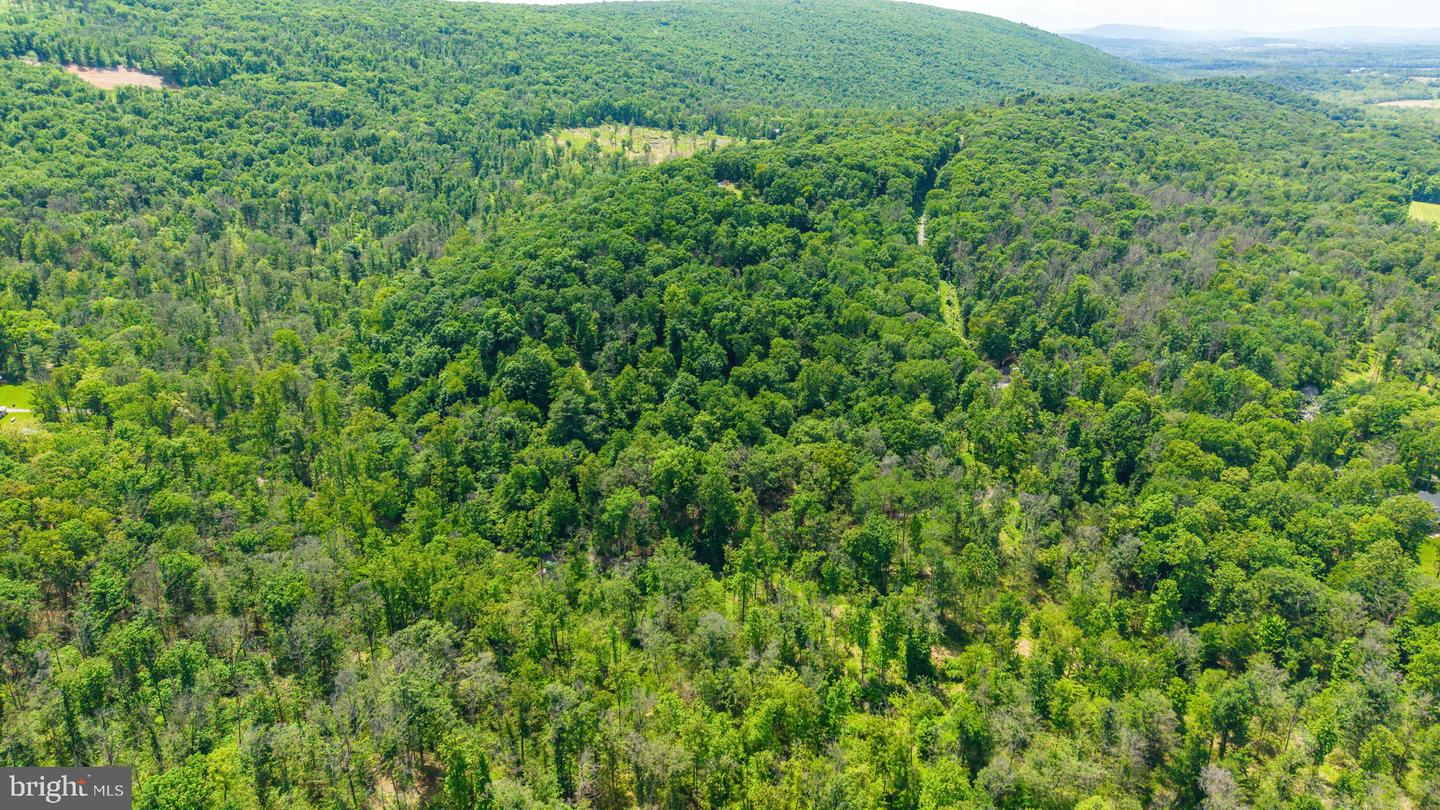 165-a Mountain Rd Property Photo 6