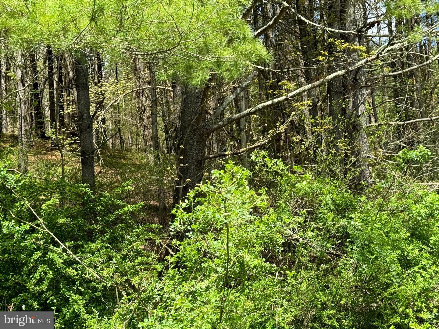 Lot# 2 Haney Rd Property Photo