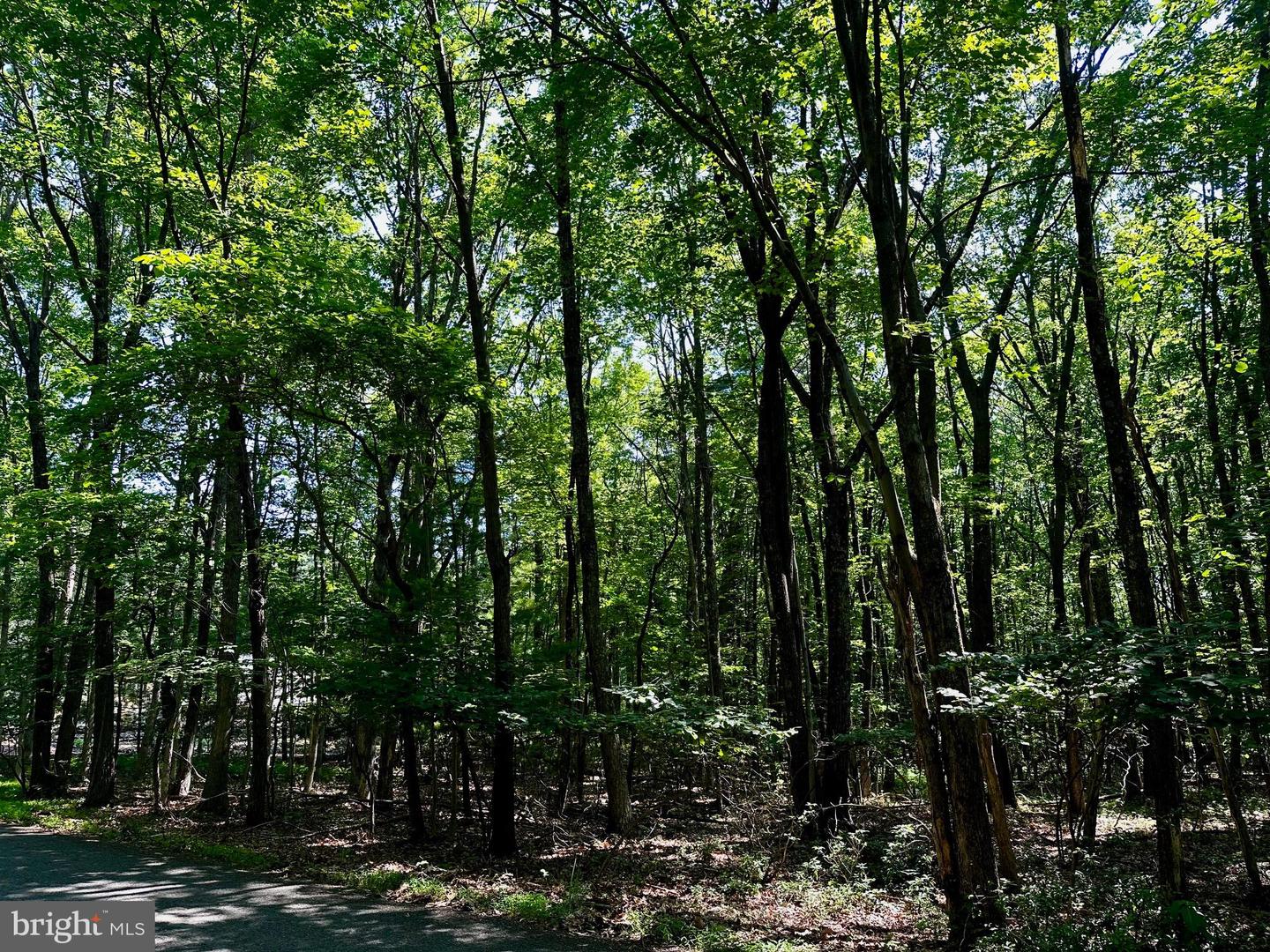 Little (sumac) Ct Property Photo