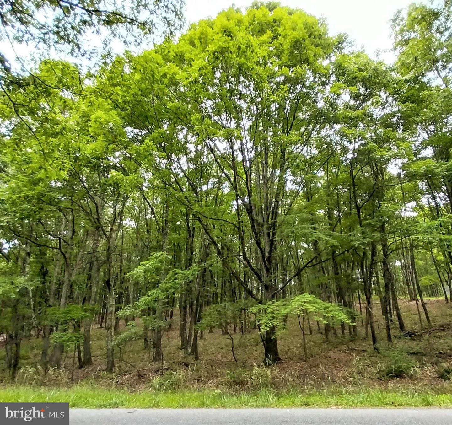 1584 N. Rocky Mountain N Property Photo 2