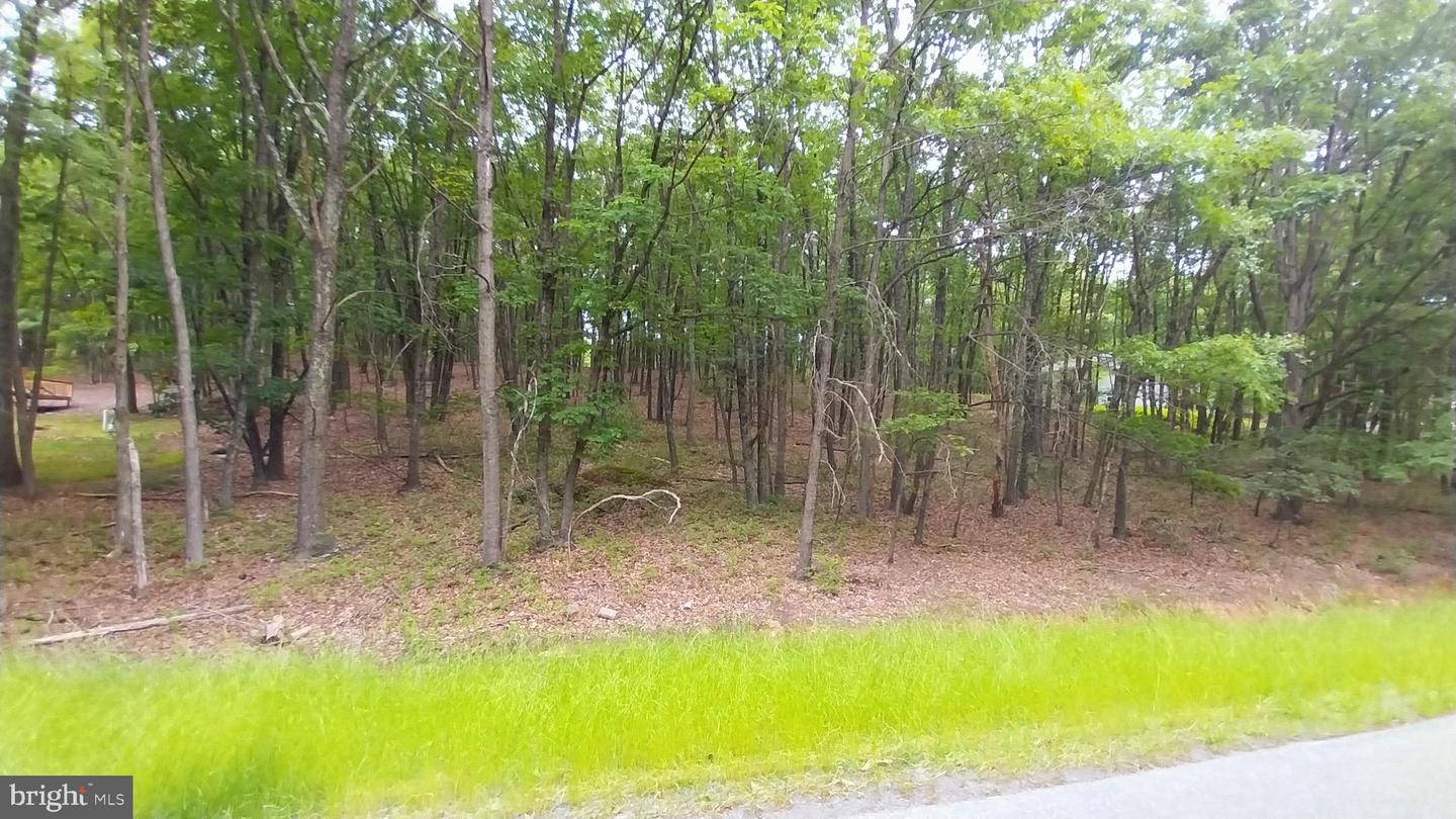 1584 N. Rocky Mountain N Property Photo 3