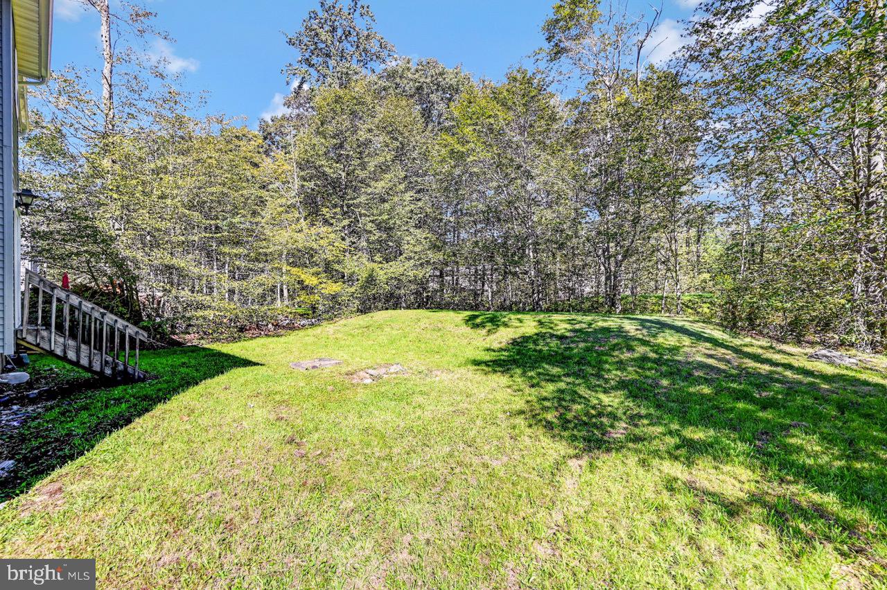 4149 Romeo Rd Property Photo 49