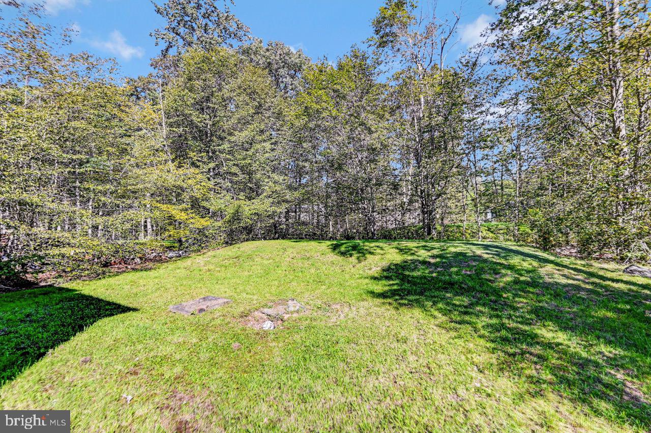 4149 Romeo Rd Property Photo 52