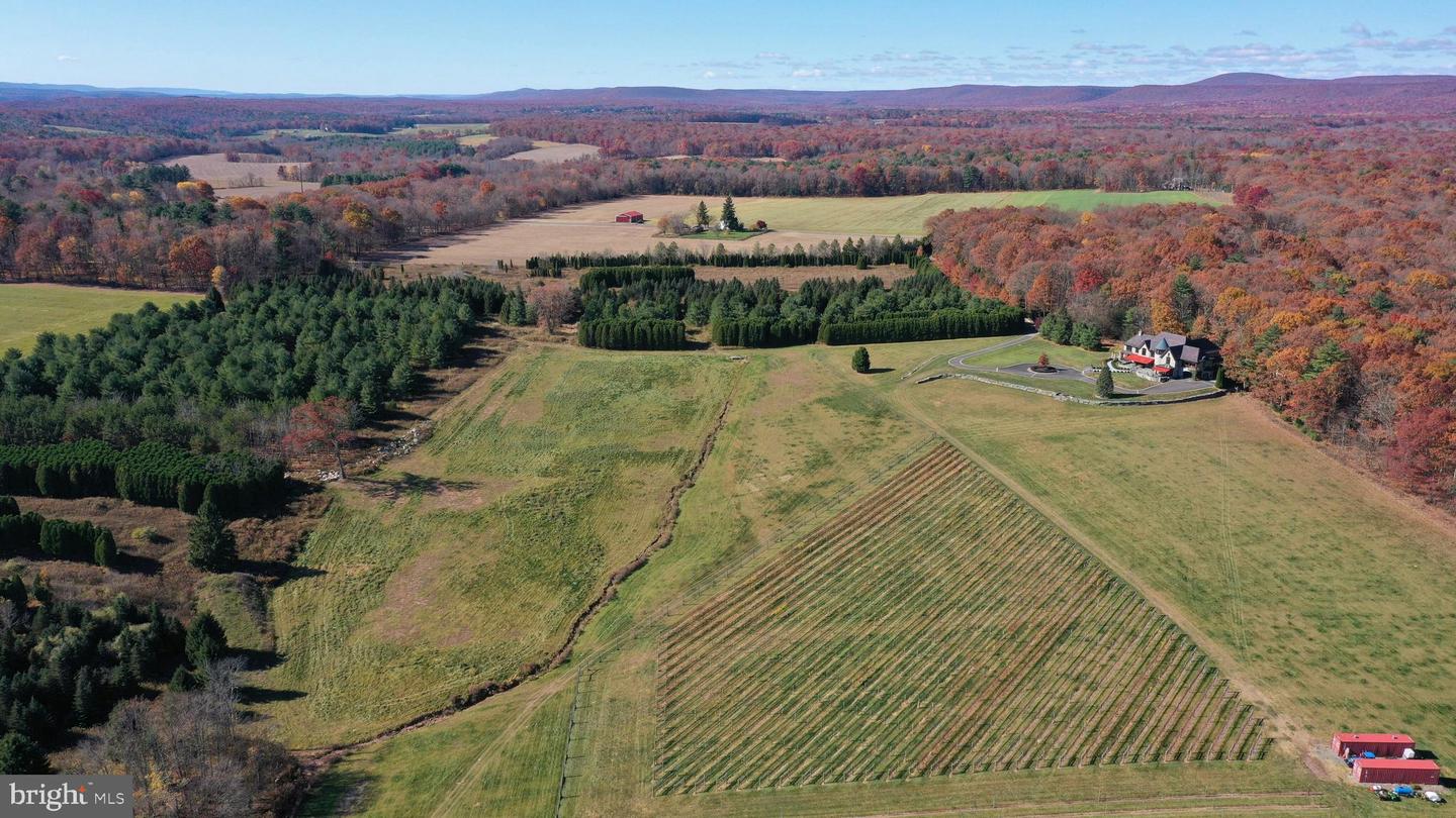 1212 Burger Hollow Rd Property Photo 50