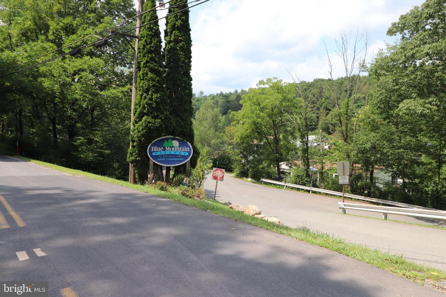 1215 Blue Mountain Cir Property Photo 20