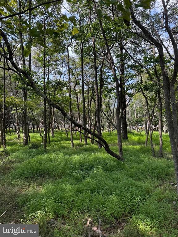 Lakeview Dr #lot#739 Property Photo