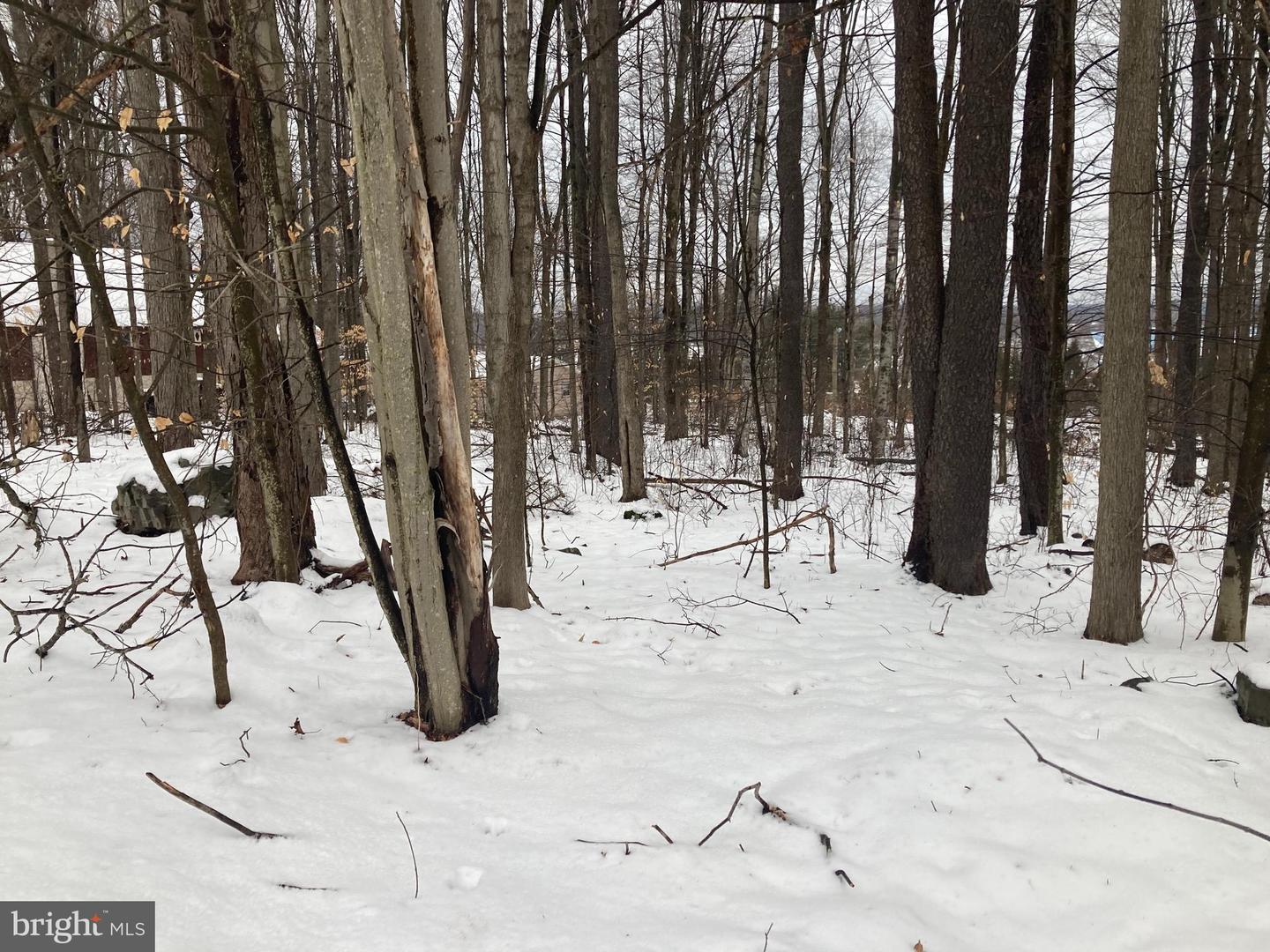 0 Mohican Trl Property Photo 3