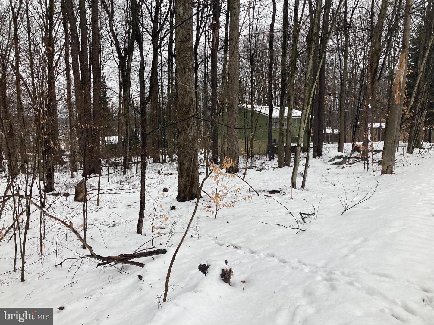0 Mohican Trl Property Photo 4