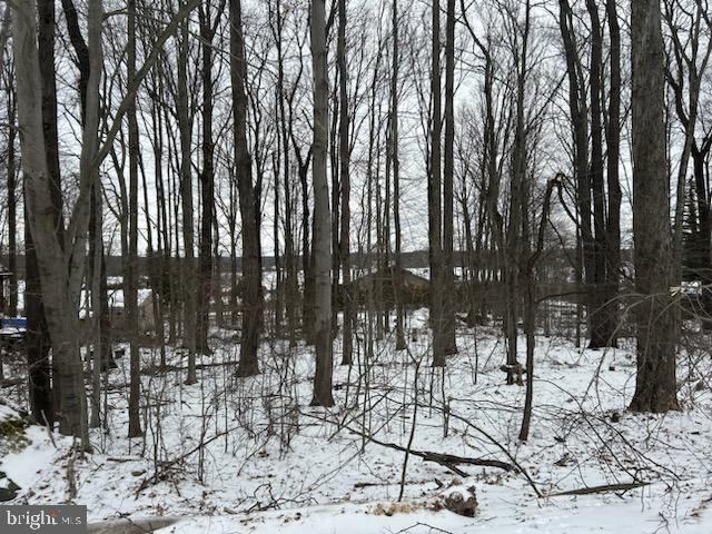 0 Mohican Trl Property Photo 5