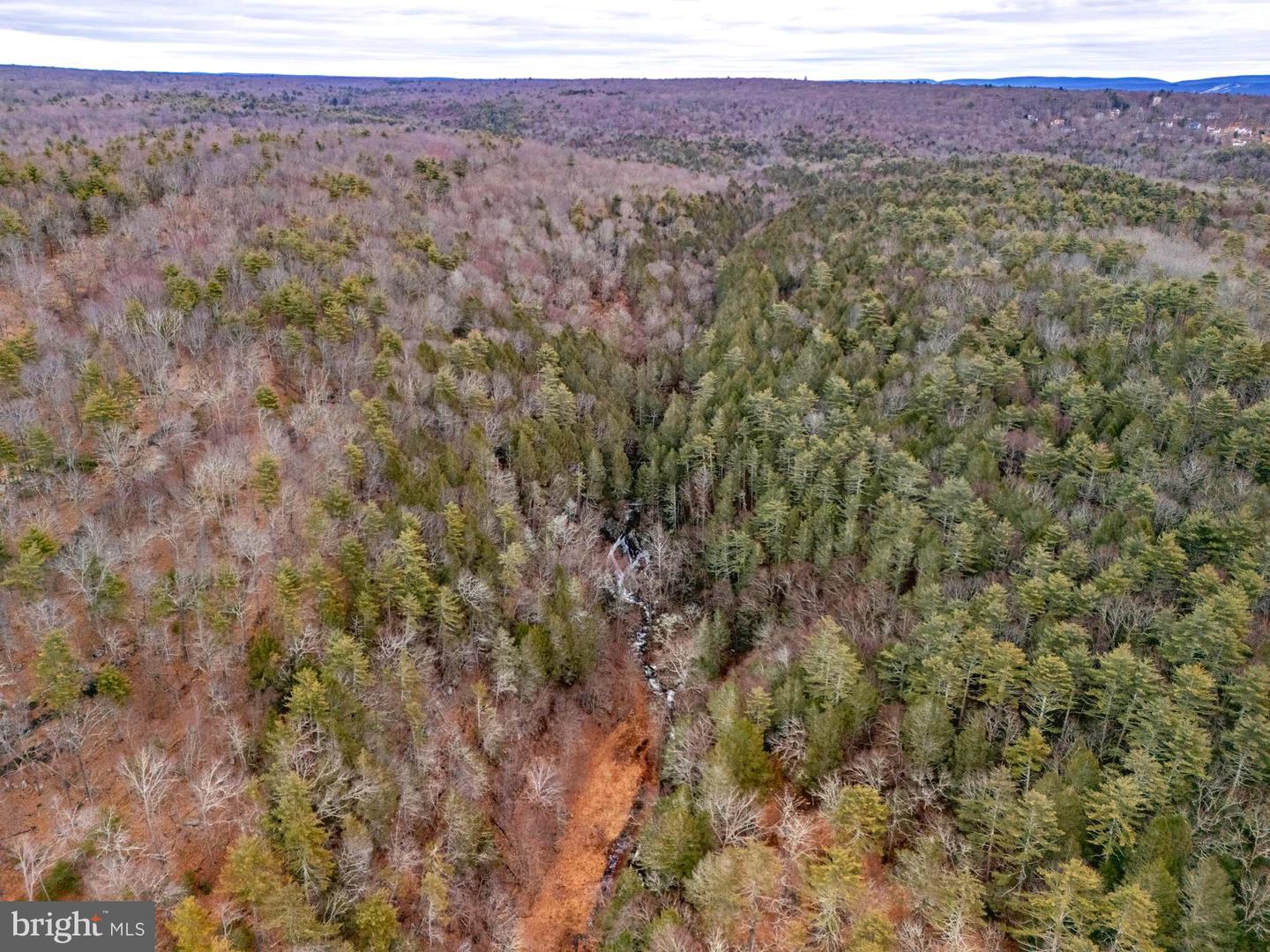 2480 Paradise Trail Property Photo 9