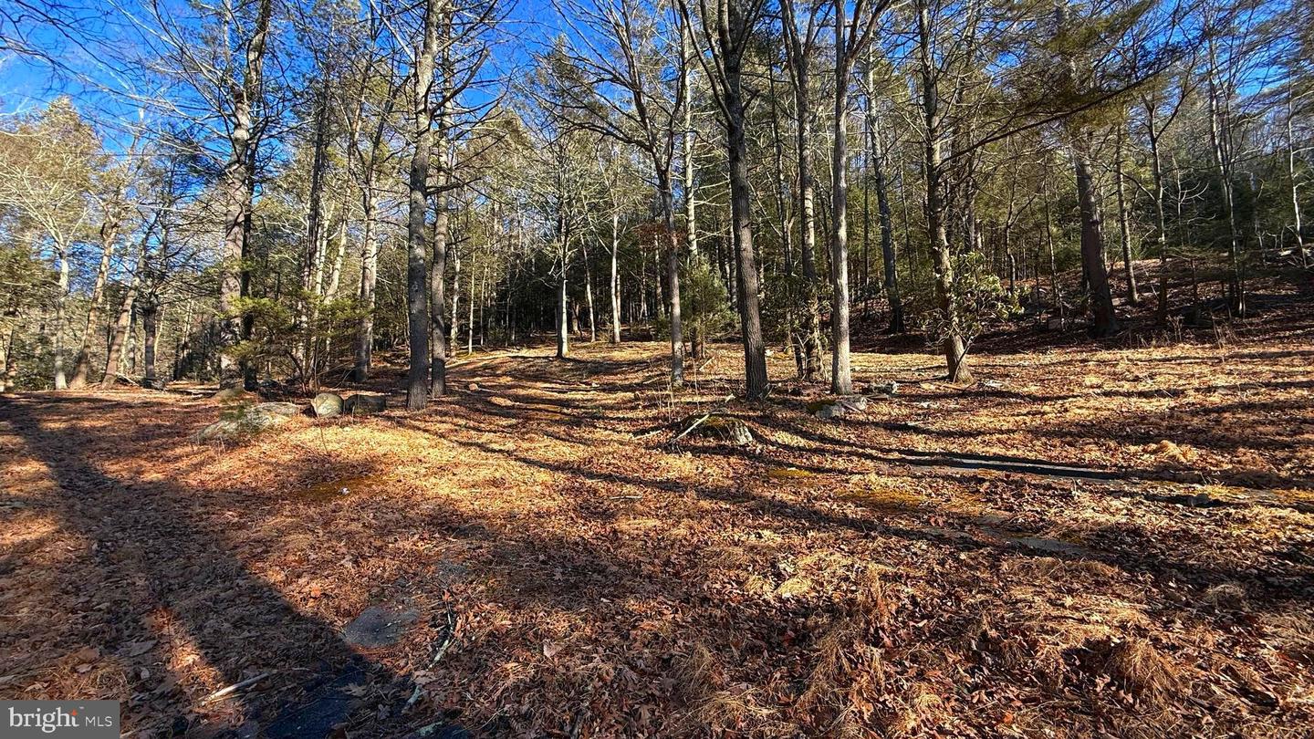 2480 Paradise Trail Property Photo 28