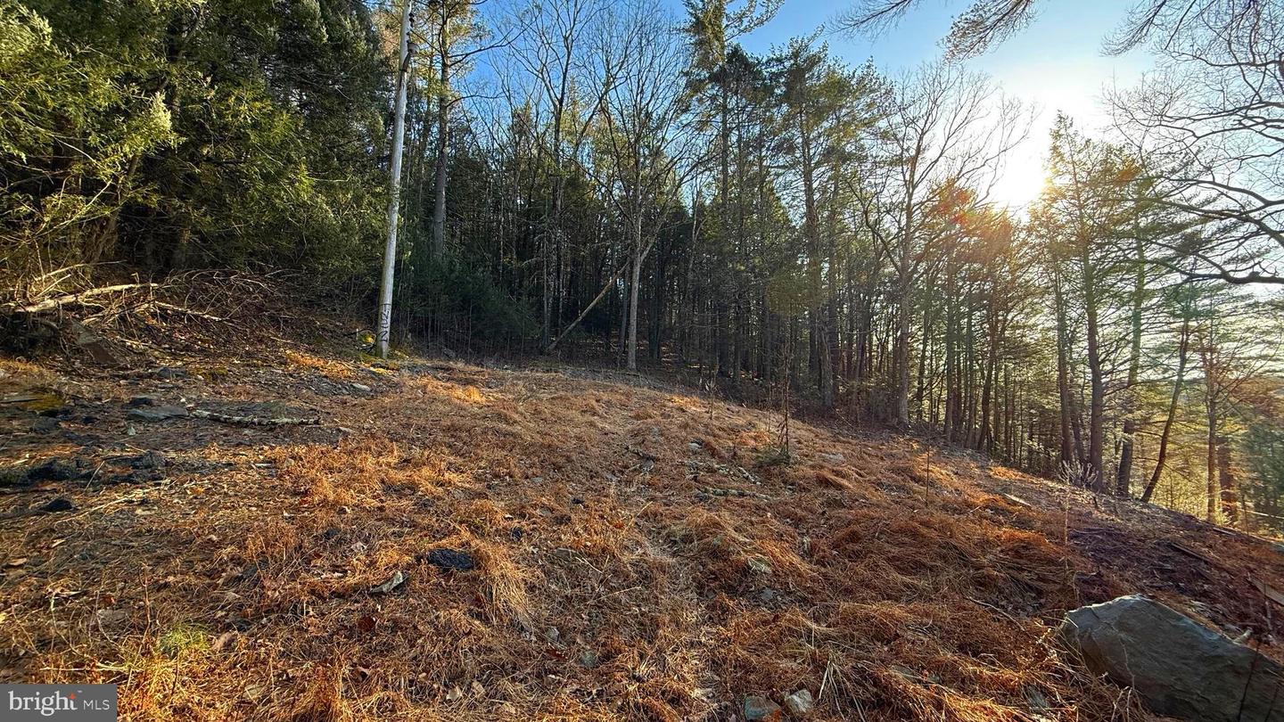 2480 Paradise Trail Property Photo 31