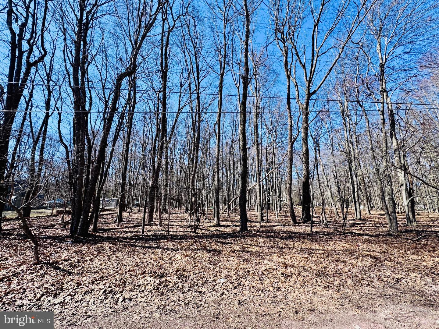 Lot 6 Winchester Ln Property Photo 1