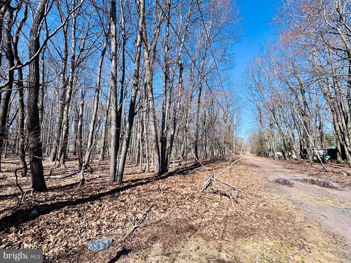 Lot 6 Winchester Ln Property Photo 3
