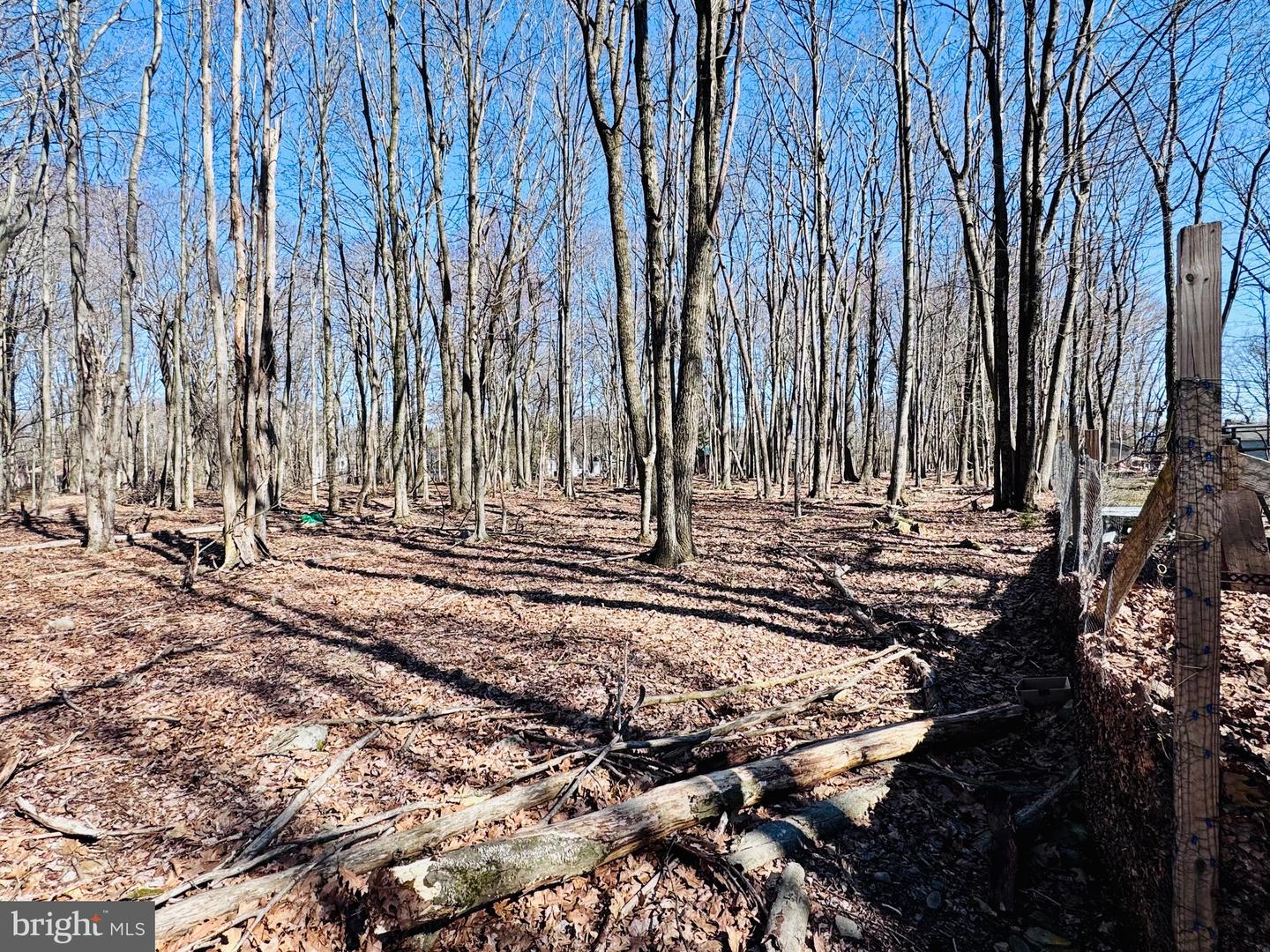 Lot 6 Winchester Ln Property Photo 8
