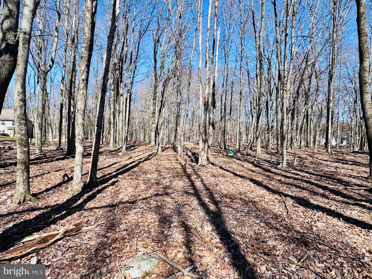 Lot 6 Winchester Ln Property Photo 9