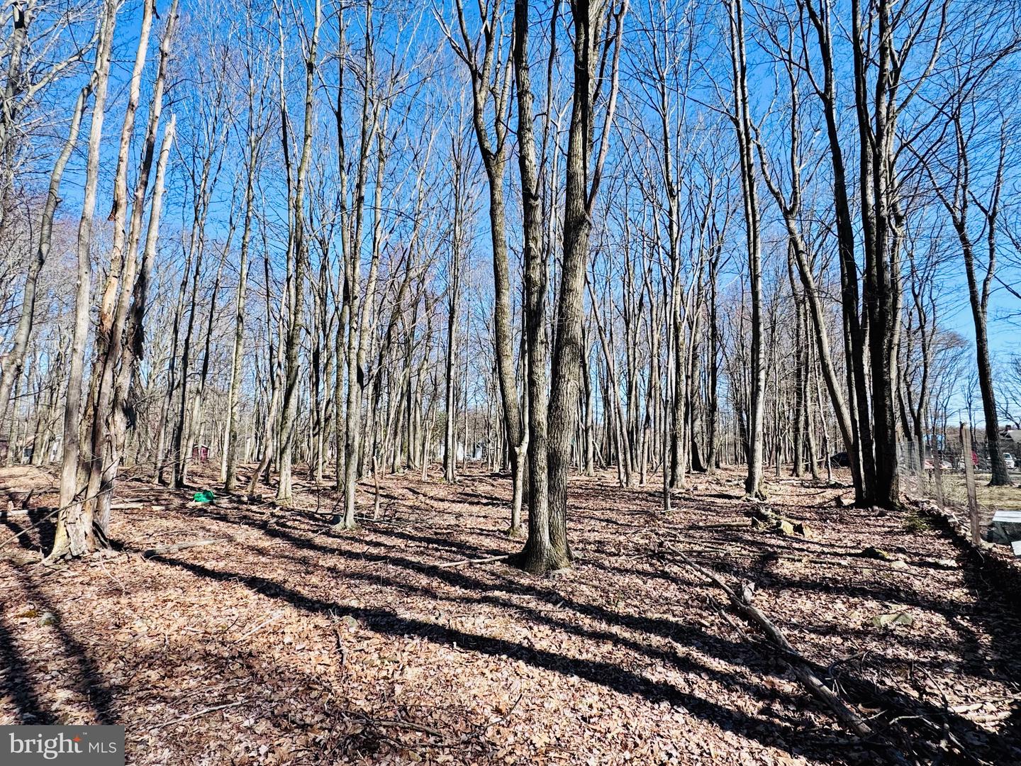 Lot 6 Winchester Ln Property Photo 10