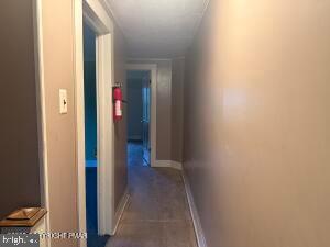 1103 Mill St Property Photo 11