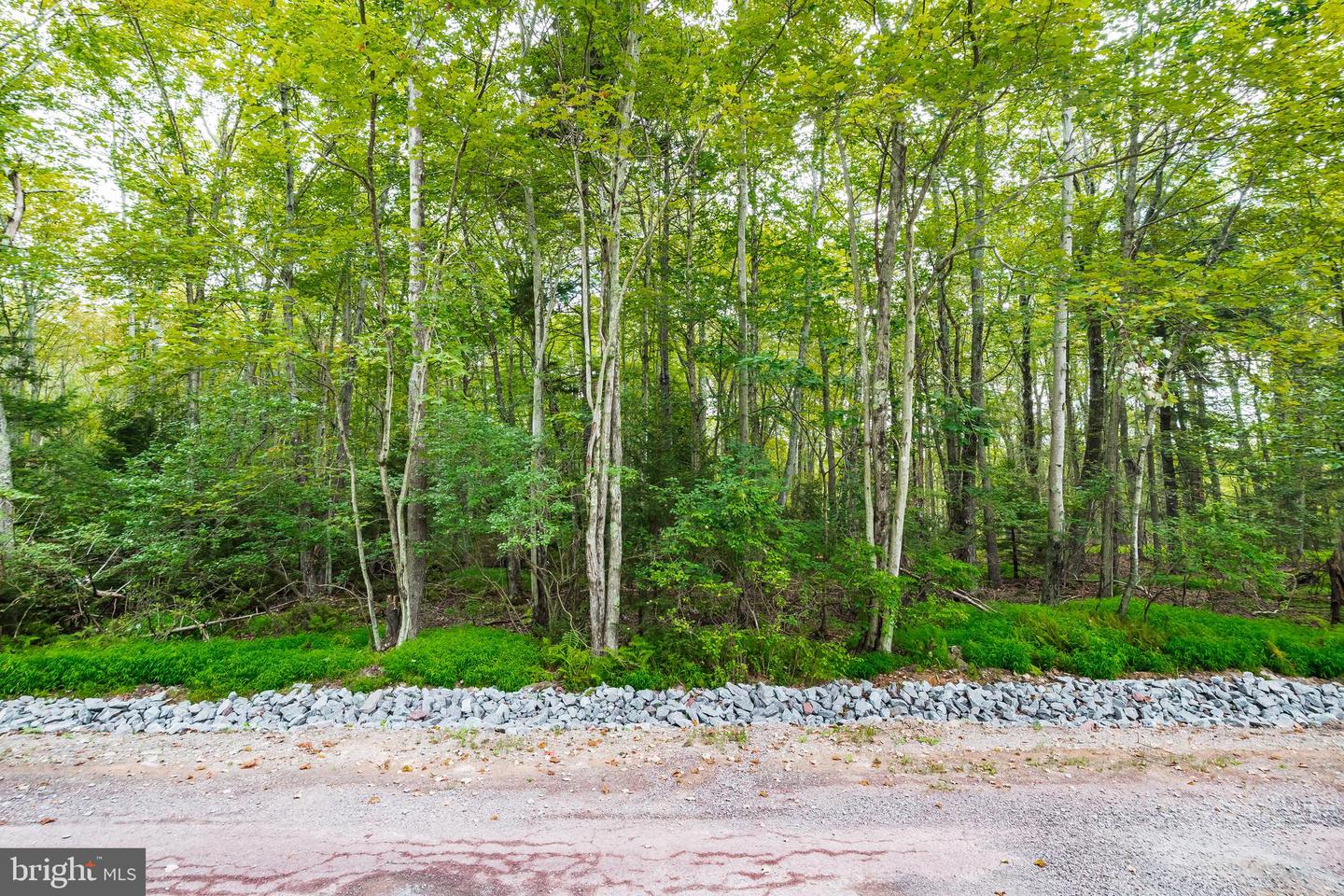 812 Beaver Run Property Photo 4