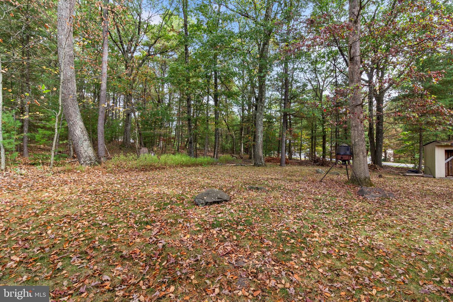 106 Daffodil Dr Property Photo 43